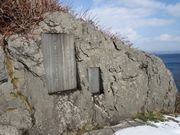 ߂̂₳̗^Ӗ슰Eq̉̔̓eʐ^1