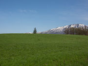 䂣̊Ri茧Βj̓eʐ^1