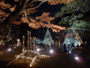 hituji̔א뉀̓eʐ^1