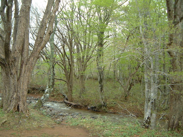 Ԃ񂳂̈䍂ui񎟗т̓eʐ^1