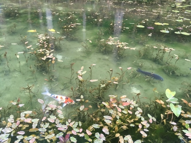 ���l�̒r_���l�̒r�@�򕌌�