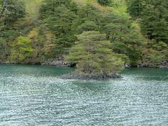 Ԃ񂳂̃BgJ̓]ւ̓eʐ^1