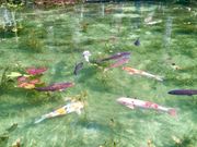 ف[񂳂̃l̒r@򕌌̓eʐ^2