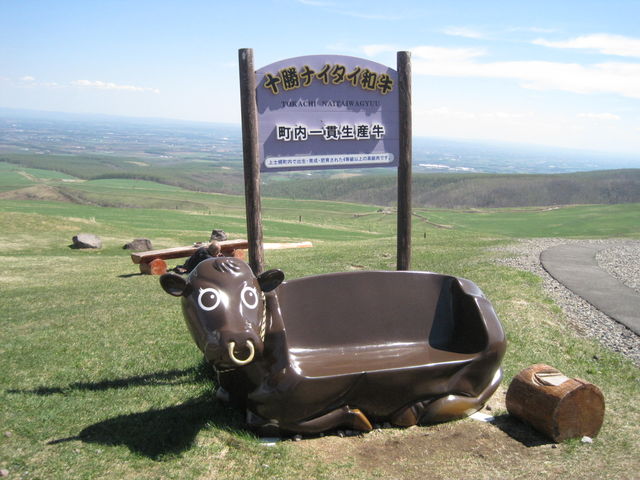 �L�O�ʐ^������I_�i�C�^�C�����q��i�C�^�C�e���X