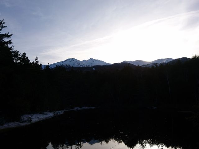 �����̏�Ɗx_�����r