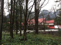 �}�C�a�n�n����̏㍂�n�鍑�z�e���@�A���y�����[�[�ւ̓��e�ʐ^1