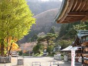 higekuma50̔ٔ{̓eʐ^1