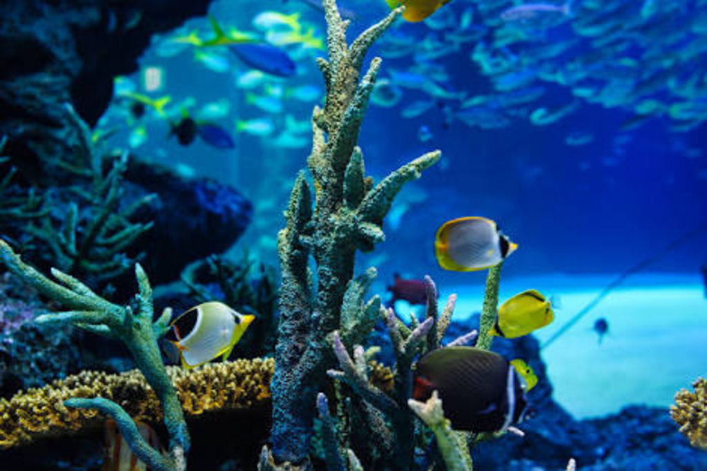 サンシャイン水族館