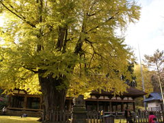 ǂ̐V{F_Ёuvւ̓eʐ^1