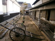 Kitten̉̓傤ELnق̓eʐ^2