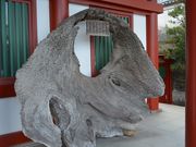 񂳂̚_Е󕨊ق̓eʐ^2