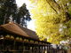 さんどうさんの新宮熊野神社「長床」への投稿写真3