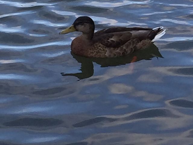 �΃��u����