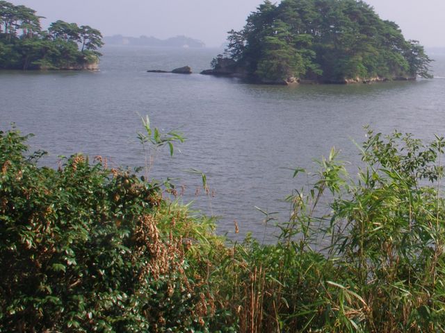 ����_�����l���