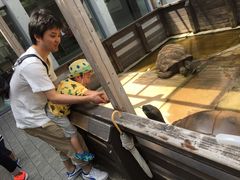 肦肳̐EW ANAggӂւ̓eʐ^1