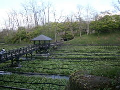 剤킳є_(剤_Еt)̎ʐ^1