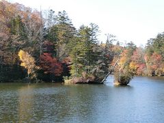 ɂǂ񂳂̈όDDi΃}N[Yjւ̓eʐ^3