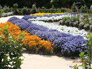 ݂[̏]CObVK[f̓eʐ^1