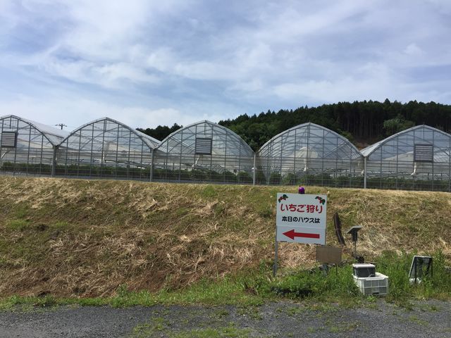 �������n�E�X_���������̂�