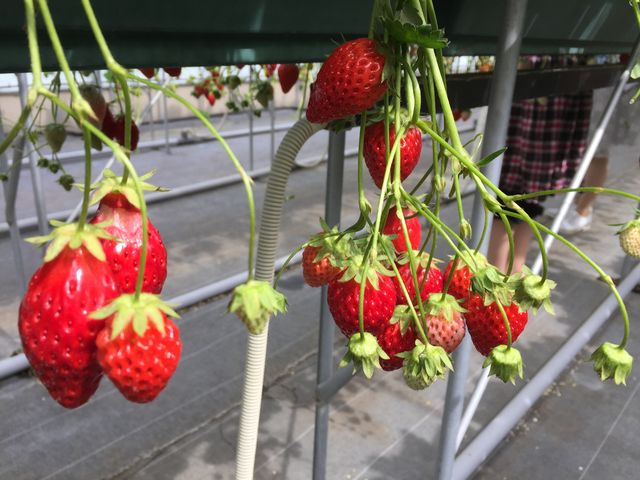 ������_���������̂�