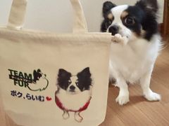 Ђł̃t@[XgsN`[_˂ւ̓eʐ^1