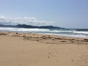 ������������������̕l�l�C������̓��e�ʐ^2