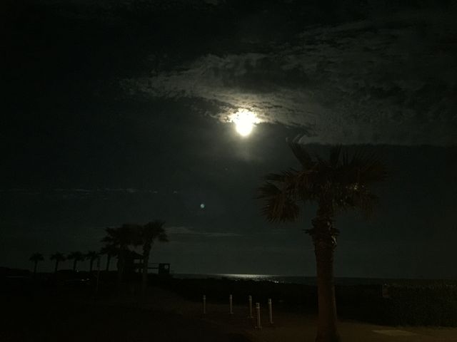 ̌iFij_̉w ΂˃RXe[V