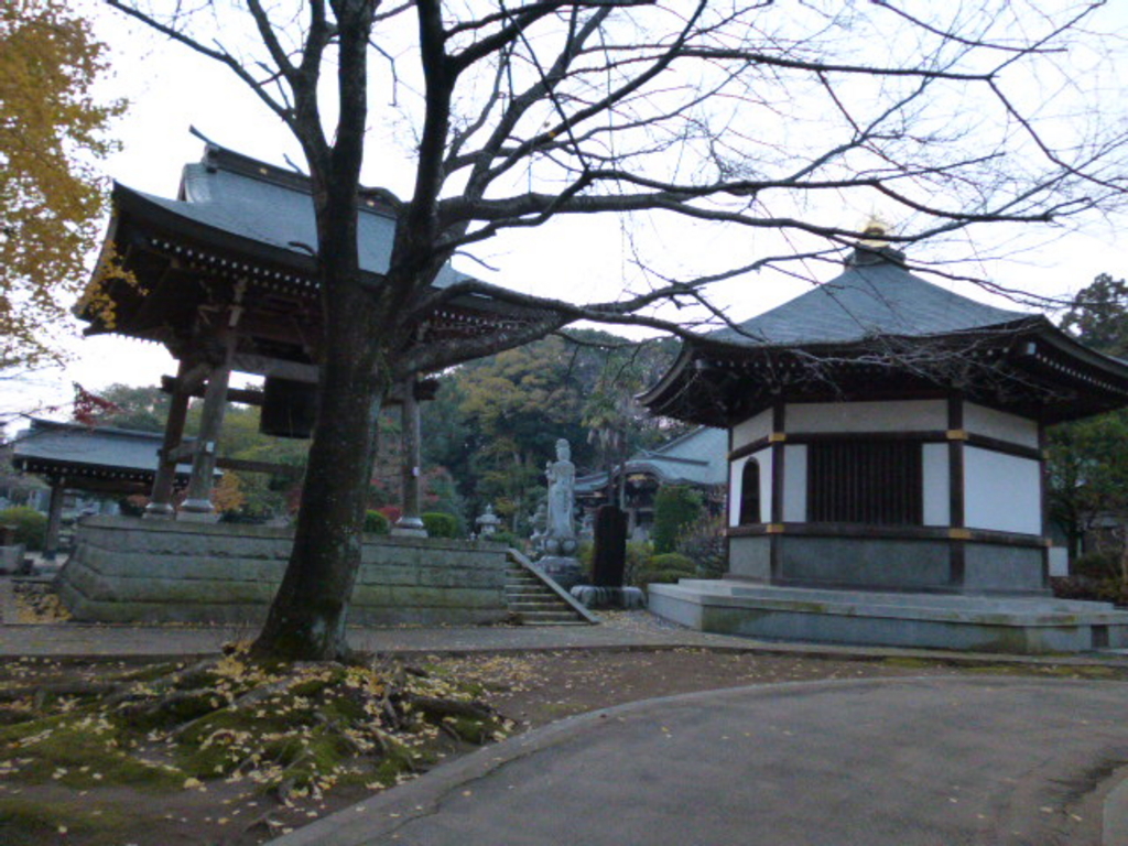 【金龍寺】アクセス・営業時間・料金情報