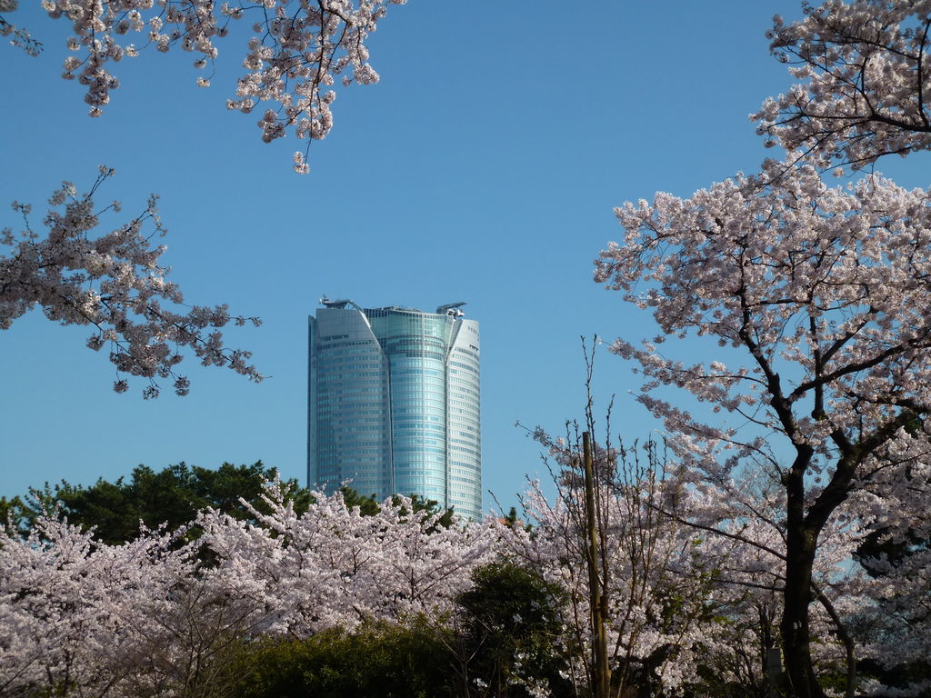 東京のおすすめ桜名所41選 開花見頃予想も 春のお花見に じゃらんニュース