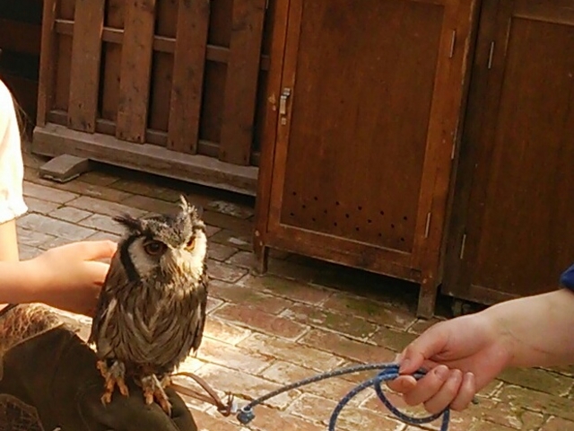 tNE̔sV[̌ŁA聕Be_]tH[Qp[N