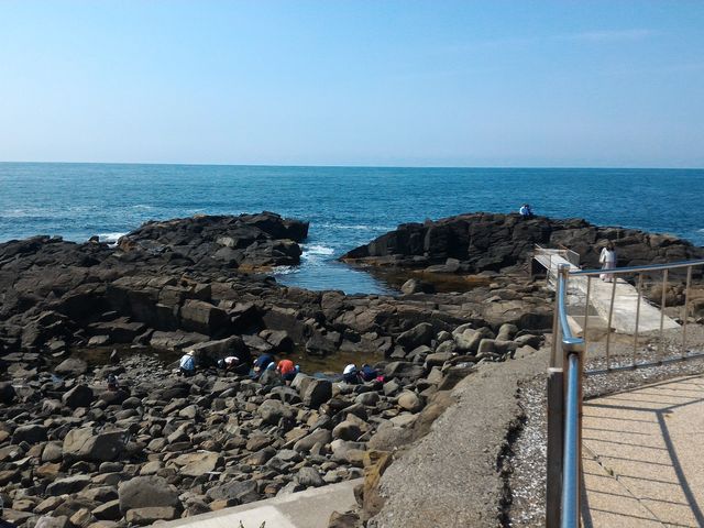 ��_�������C�l����