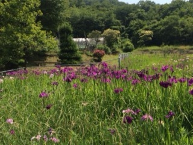 Ђ񂳂̞̃mniVEun^̂͂Ȃ傤Ԃ̓eʐ^2