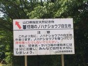 Ђ񂳂̞̃mniVEun^̂͂Ȃ傤Ԃ̓eʐ^1