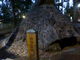 トロムソさんの代々木八幡遺跡への投稿写真2