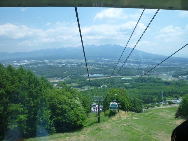 �S���h���ɏ�蒸��w�Ɍ�����_���}�R