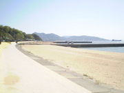 悵Ȃ̃xCTChr[`̓eʐ^1