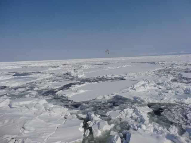 ���X_���X