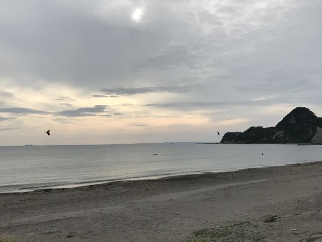 �Â��ȊC�ł�_���C��