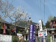 �ނ炳�񂳂�̒֌����̓��e�ʐ^2