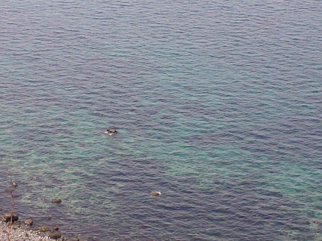 �_�Ж�_�_�Ж�