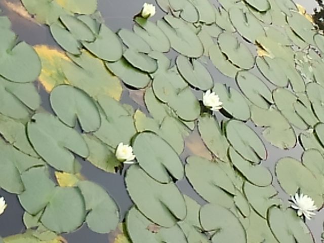 �k�R�����@�@_�k�R����