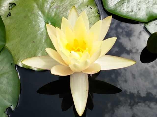 2017.7.1�@�����A�������݂��̐X_���Îs�������A�������݂��̐X