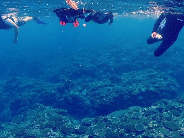 �ƂĂ��Y��ȎX�肽���B��؂Ɏ�肽���ł��ˁB_SHIZUKA