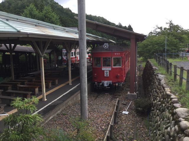 ���͖S���A���S�K����E�J�����̎ԗ�_�J��������