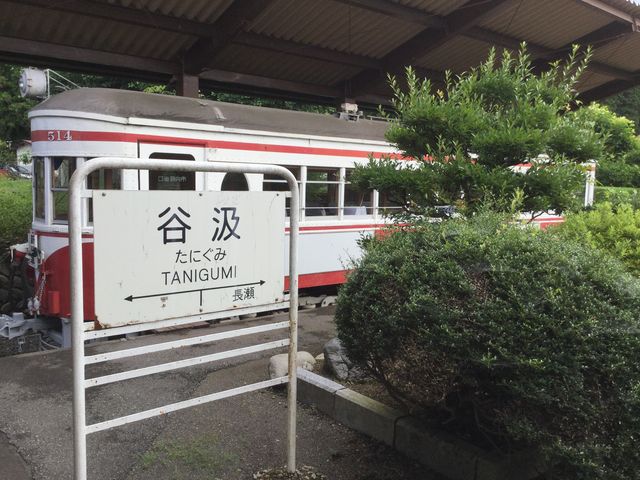 �J���̎��́w�����x_�J��������