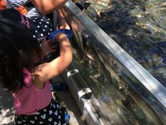 Ȃ񂳂̐EW ANAggӂւ̓eʐ^1