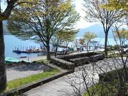 Ⴝ낤̓TΔȂ̓eʐ^1