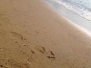 傱񂳂̔ΓiR}sj̓eʐ^1