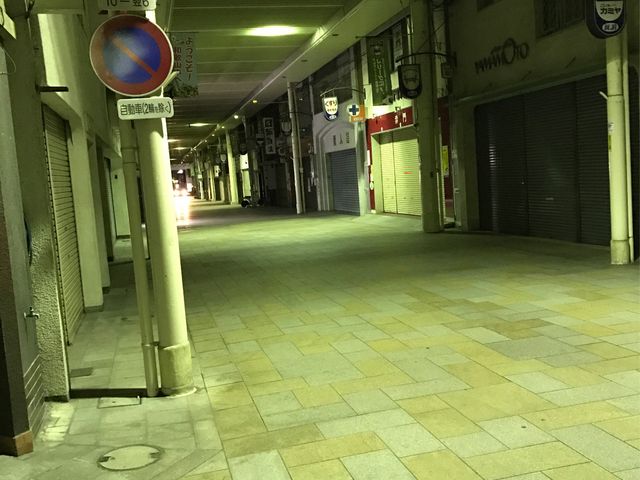 ��̎ʐ^�ł����A���ł���ł��ՎU�Ƃ��Ă���܂��B_�Ԃ炭�蒚