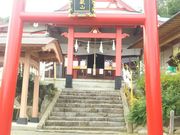 Ƃ˂̍oԎR_Ђ̓eʐ^1